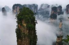保护森林,湖南将全面推行林长制
