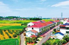 浏阳市北盛镇马战村推动文旅与农业融合，激活乡村振兴“源头活水”