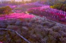 常德：休闲农业+乡村旅游 奏响乡村振兴“田园交响曲”