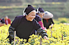 看湘西乡村振兴新画卷