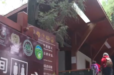 湖南武陵源：推进“厕所革命” 景区旅游厕所成舒心驿站