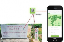 一心护绿向未来——长沙加强“绿心”保护综述