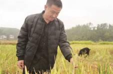 “读书不是为了离开家乡”——攸县双凡村王敏回乡创业的故事