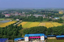 沅江市三眼塘村：以人民为中心，打造善治乡村“范儿”