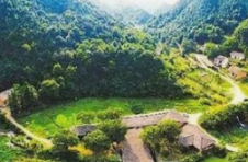 湖南醴陵：乡村搭上“旅游快车”驶入振兴路