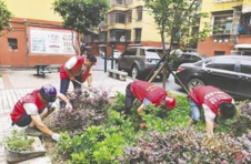 红网格”里的“绣花功” ——资阳区大码头街道网格化管理小记