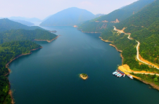 湖南茶陵：中华倒刺鲃重新“游”回洣水河
