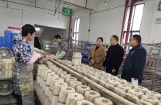 湘西保靖：当好贴心“店小二” 服务企业零距离