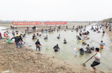 乡村振兴的“湖南故事”越来越精彩