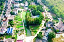 长沙市天心区：村美民富产业兴 乡村振兴让这里实现嬗变