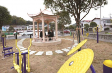 湖南宁乡：党建引领擦亮乡村振兴底色