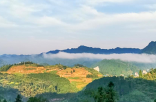 湖南泸溪：一村一落皆风景 美丽乡村入画来