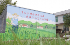 长沙县武塘村：秉承生态优先原则铺展美丽乡村画卷