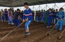 津市：研学旅行助推乡村振兴