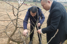 邵阳市双清区：构筑人才高地形成“磁场效应”