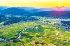 湖南浏阳：：严守耕地红线 保护好“饭碗田”