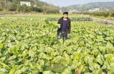株洲天元区：“80后”新农人探索乡村振兴新路径