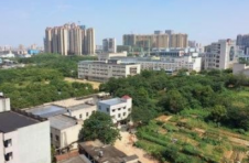 湘潭岳塘区：全力推进教育高质量发展