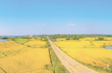 长沙宁乡“风生水起”新竹田