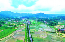田畴沃野织锦绣 宁乡大地好风光