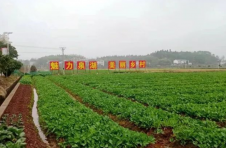 湖南衡南泉湖镇：“党建+恳谈+治理”激活乡村振兴新动能