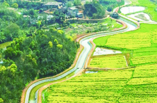 株洲石峰区：“三水”激活幸福乡村