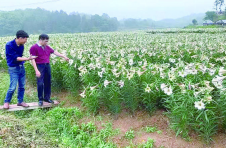 株洲渌口区：借力产学研“沃土”，培育幸福花开