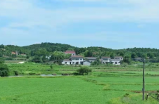 株洲天元区：南江“微自治” 激发“大效能”