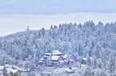 虎年新春瑞雪至 科学应对开新局