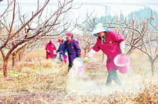 郴州：争当湘赣边区域合作示范区建设排头兵
