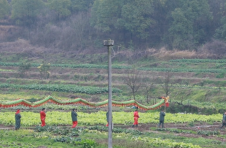 衡阳石鼓区：正月里来舞龙灯 传统民俗迎元宵