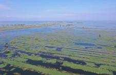 沅江市：湿地之沅 美在天然