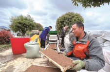长沙县果园镇：“铁牛”翻沃土 早稻育秧忙