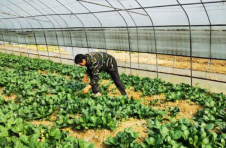 把他乡活成故乡 株洲探索水库移民致富增收新路径