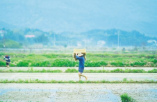 长沙县：有了“田保姆”，赚钱有保障