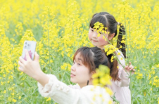 长沙“赏花经济”花开正艳