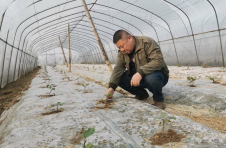 湖南株洲：蔬菜基地的“追光”计划