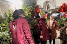 永州冷水滩：苗木销售“俏”春风
