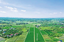 耕地提质成沃土 近3年株洲完成高标准农田建设56.05万亩