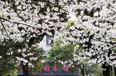 永州冷水滩：“书”香常伴 “樱”你而来
