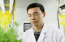 姚瑞枫：为祖国健康工作五十年，做“顶天立地”的科研