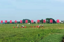 湖南湘阴：“四亮”活动激活乡村振兴“红色引擎”