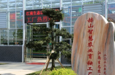 益阳赫山：不负好春光 工厂育秧忙