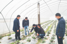 长沙：65名科技特派员组成8个团队指导农业生产