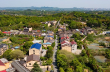 长沙望城：从“靠山吃山”到“养山富民”