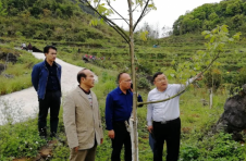 长沙“最美林草科技推广员”：他将论文写在大地上，只为托起更多“绿色希望”
