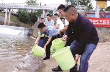 湖南省长沙县：万尾鱼苗畅游入河，助力河湖生态修复