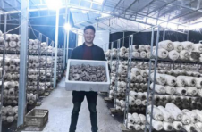 湖南双牌：瑶乡“小”产品打进“大”市场