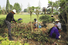 湖南益阳：生态廊道建设美了村庄乐了村民