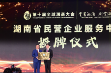 湖南省民营企业服务中心成立 何报翔授牌